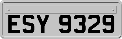 ESY9329
