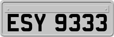 ESY9333