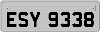 ESY9338