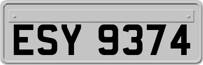 ESY9374