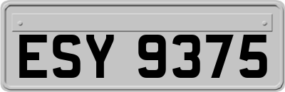 ESY9375