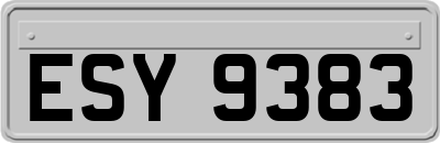 ESY9383