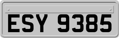 ESY9385