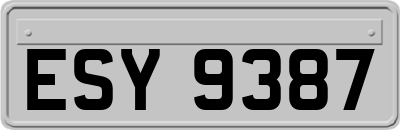ESY9387