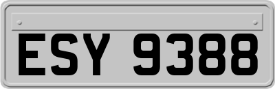ESY9388