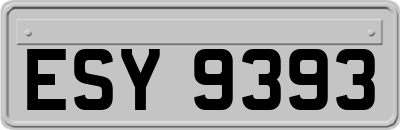 ESY9393