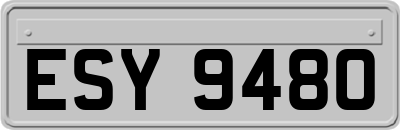ESY9480