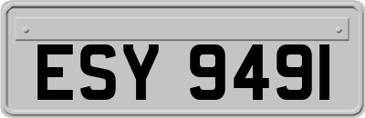 ESY9491