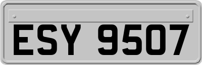 ESY9507
