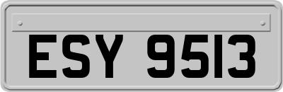 ESY9513