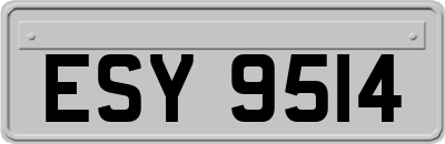 ESY9514