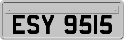 ESY9515