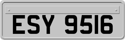 ESY9516