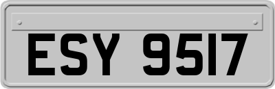 ESY9517
