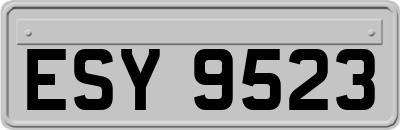 ESY9523