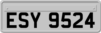 ESY9524