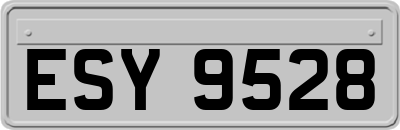 ESY9528