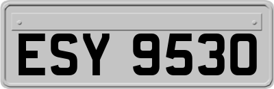 ESY9530