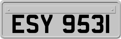 ESY9531