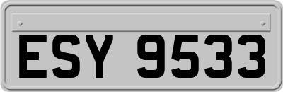 ESY9533