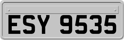 ESY9535