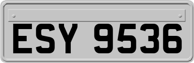 ESY9536