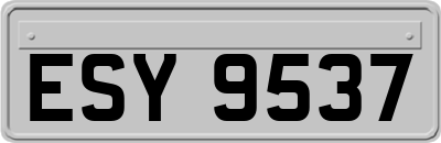 ESY9537