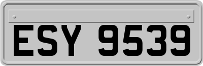ESY9539