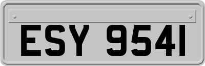 ESY9541