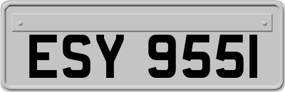 ESY9551