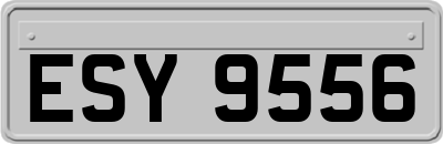 ESY9556