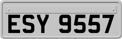 ESY9557