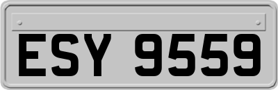 ESY9559
