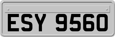 ESY9560