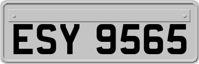 ESY9565