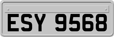ESY9568