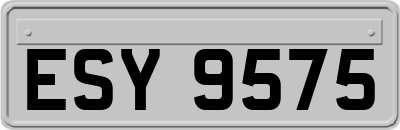 ESY9575