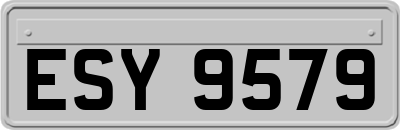 ESY9579