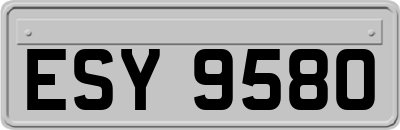 ESY9580