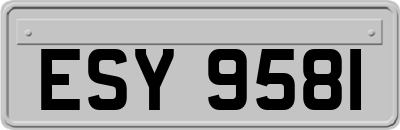 ESY9581
