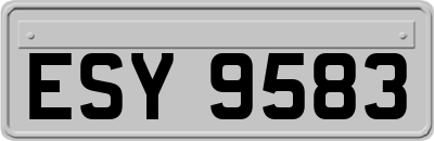 ESY9583