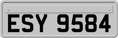 ESY9584