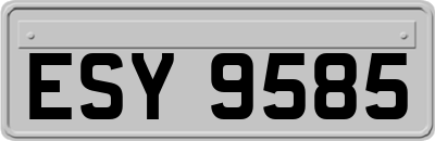 ESY9585
