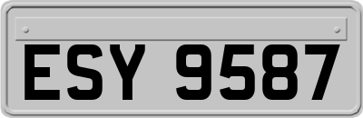 ESY9587