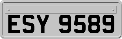 ESY9589