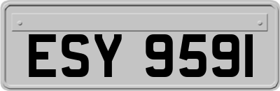 ESY9591
