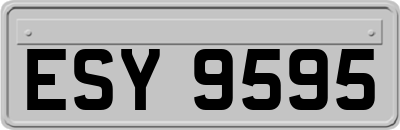 ESY9595