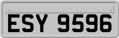 ESY9596