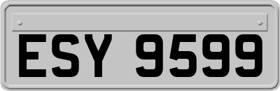 ESY9599
