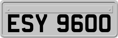 ESY9600